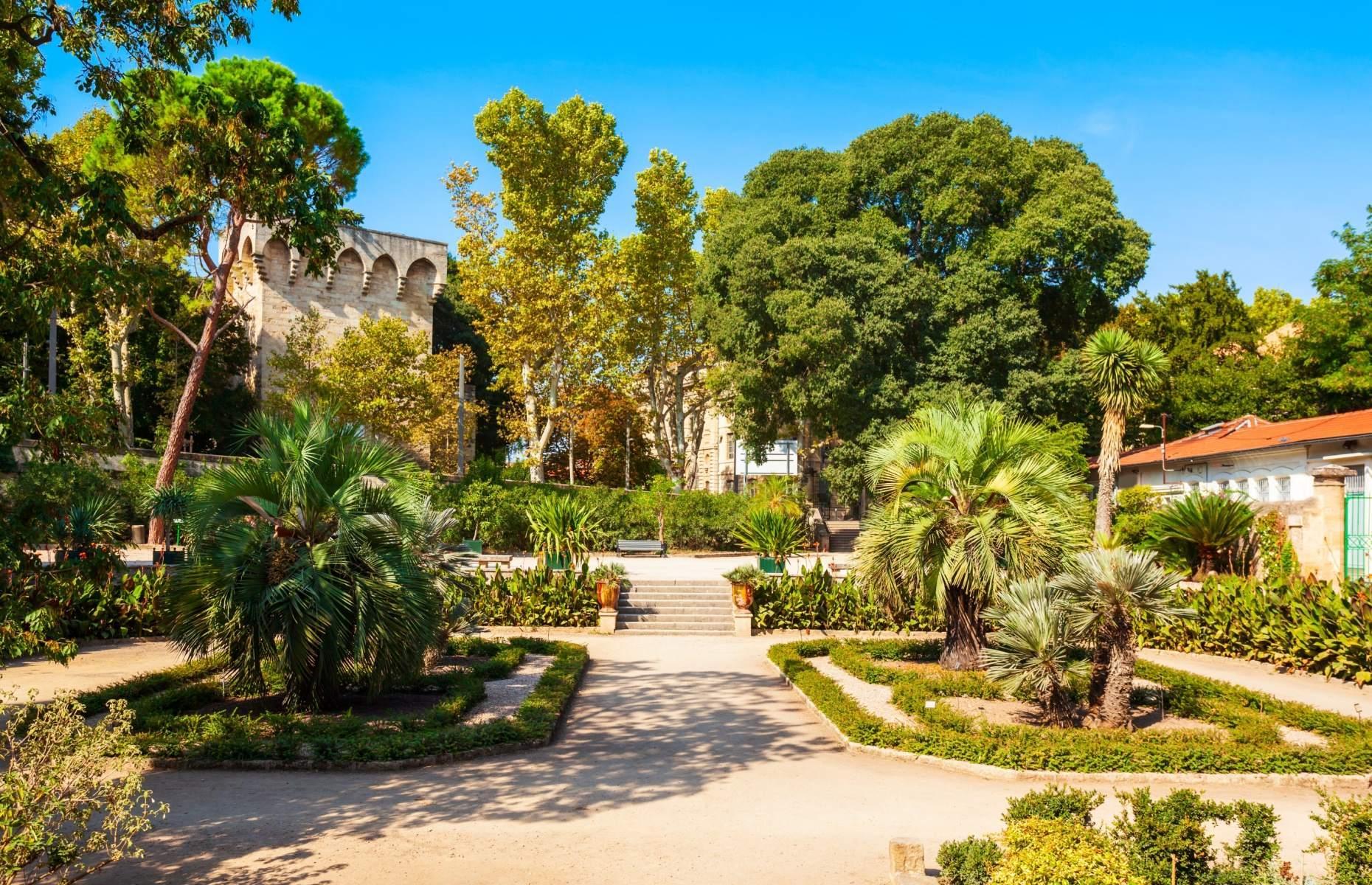 14. Jardin des Plantes, Montpellier